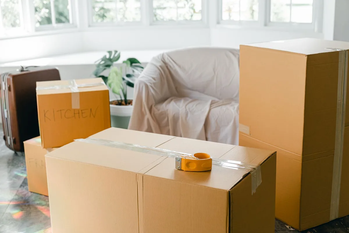 Hoarding Cleanup in Belleair Bluffs, FL